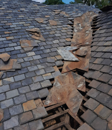 Asset Maintenance - Roofing Services and Repairs